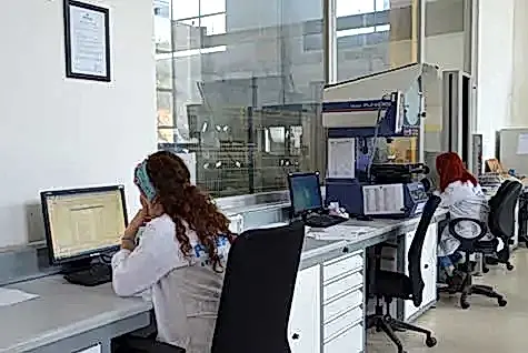 Pimtaş | Hakkımızda