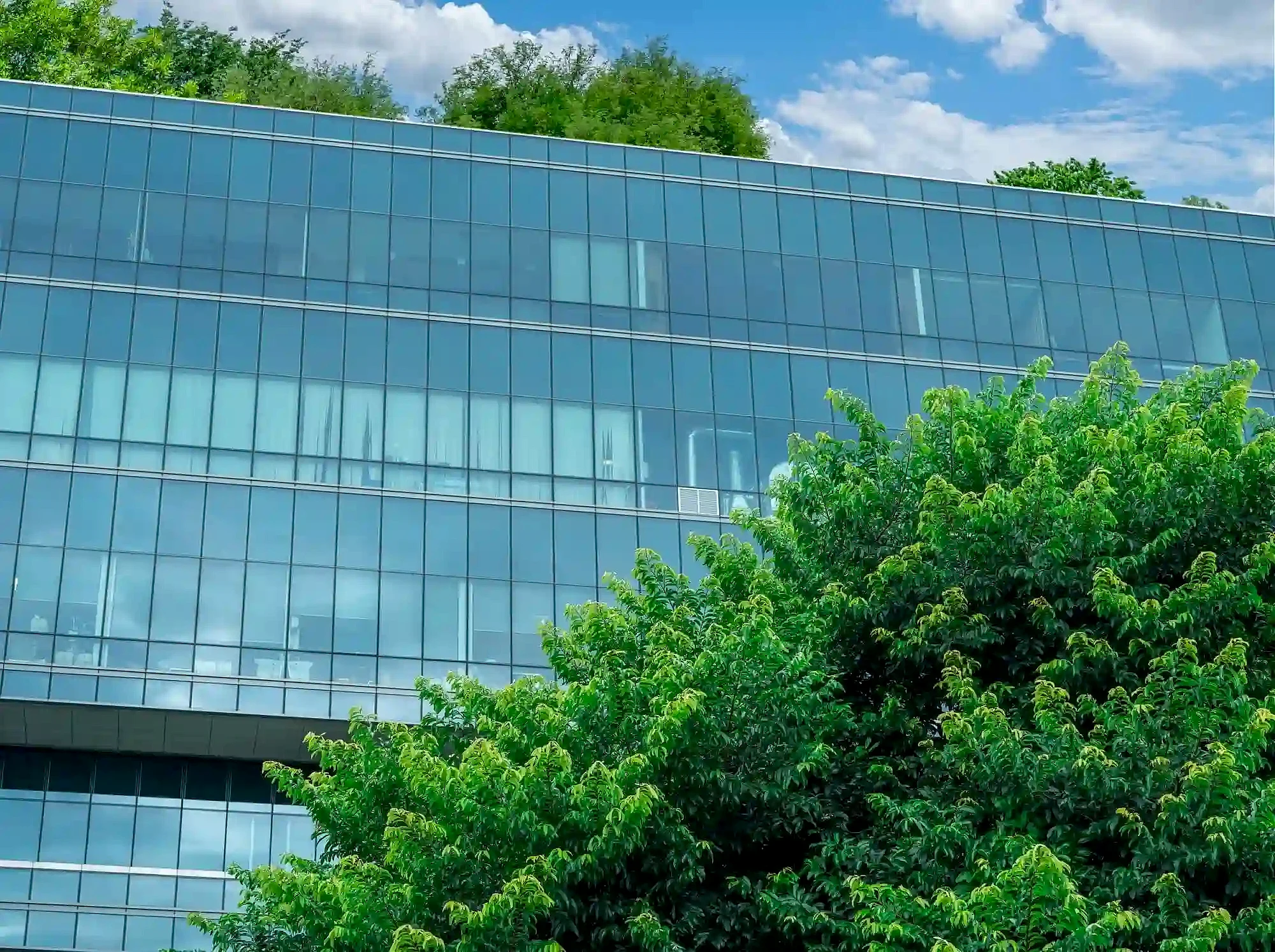 Pimtaş | Hakkımızda