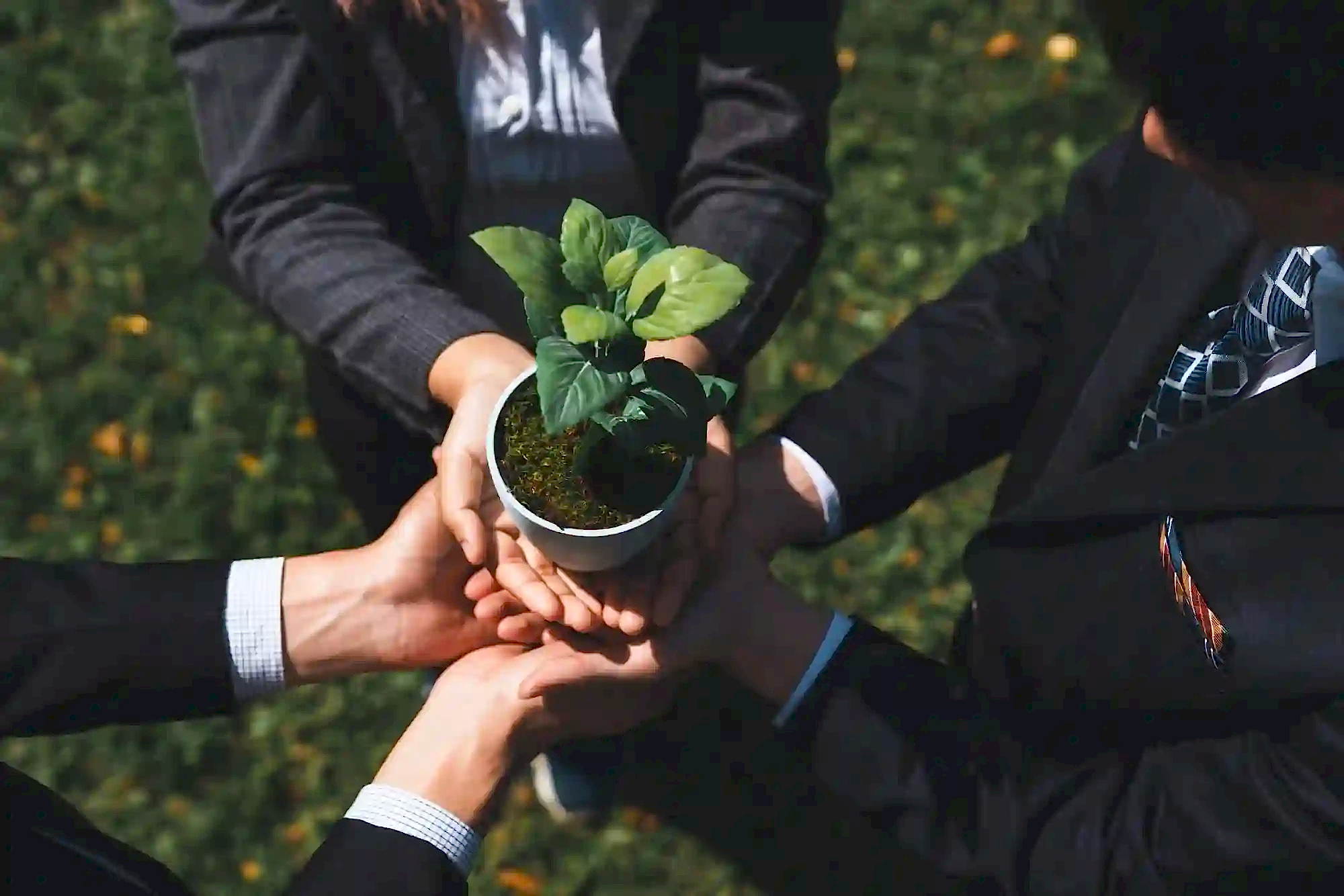 Pimtaş | Hakkımızda