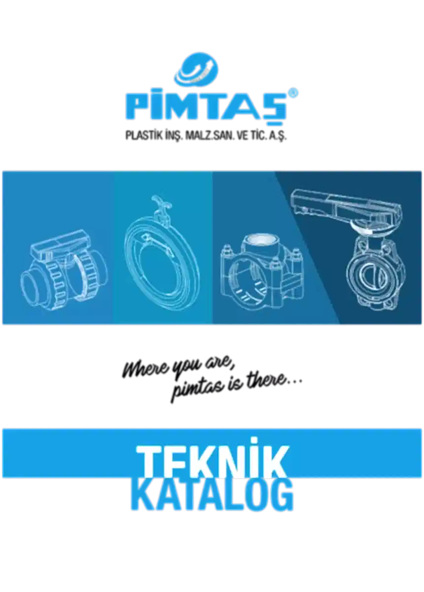 Pimtaş | Kataloglar